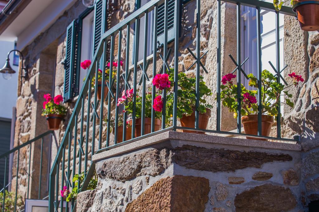 Cabanelas Country House - Casa Do Afonso Vale de Cambra Εξωτερικό φωτογραφία