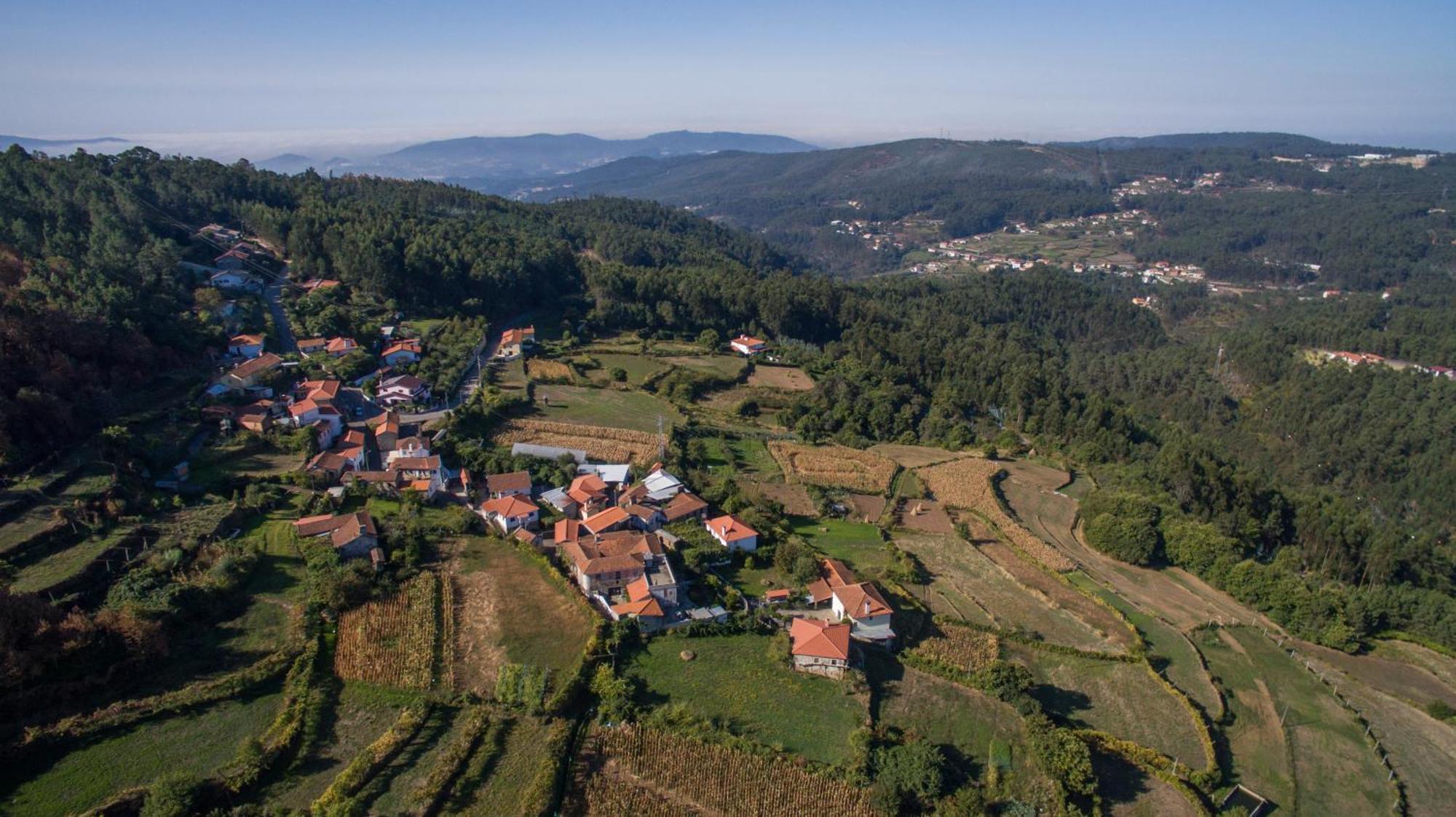 Cabanelas Country House - Casa Do Afonso Vale de Cambra Εξωτερικό φωτογραφία