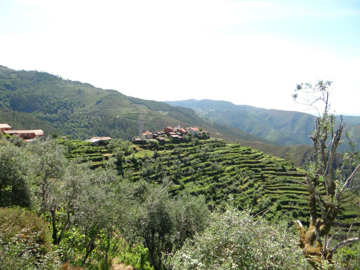 Cabanelas Country House - Casa Do Afonso Vale de Cambra Εξωτερικό φωτογραφία