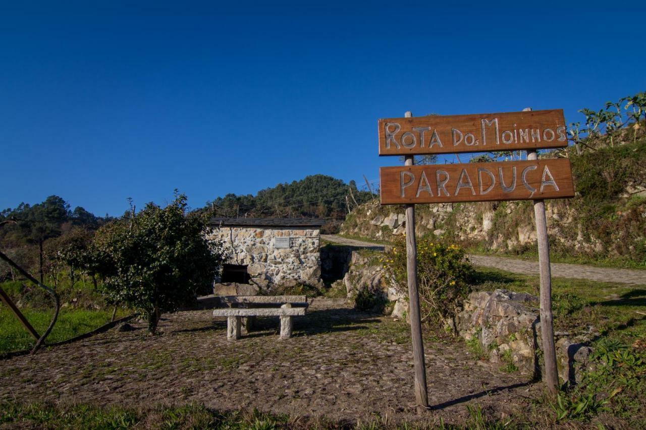 Cabanelas Country House - Casa Do Afonso Vale de Cambra Εξωτερικό φωτογραφία